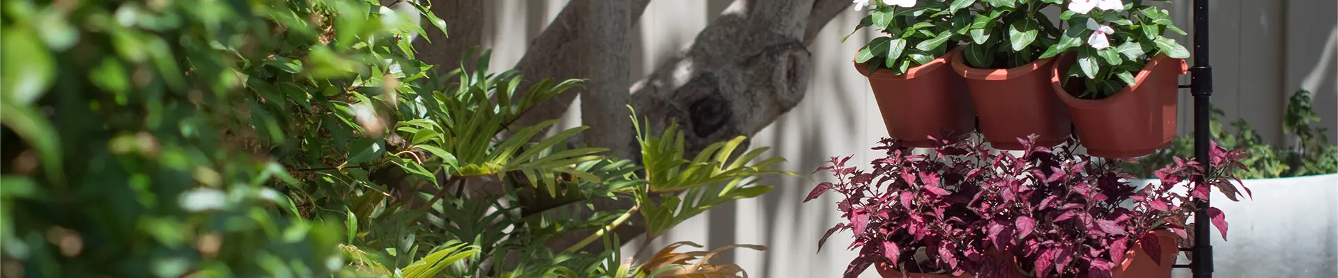 Jardinería Ecológica Jardín Vertical