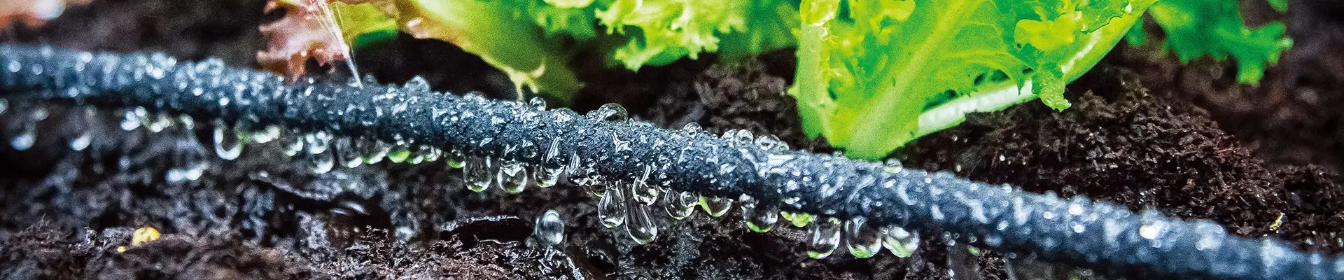 Kit de riego de bricolaje