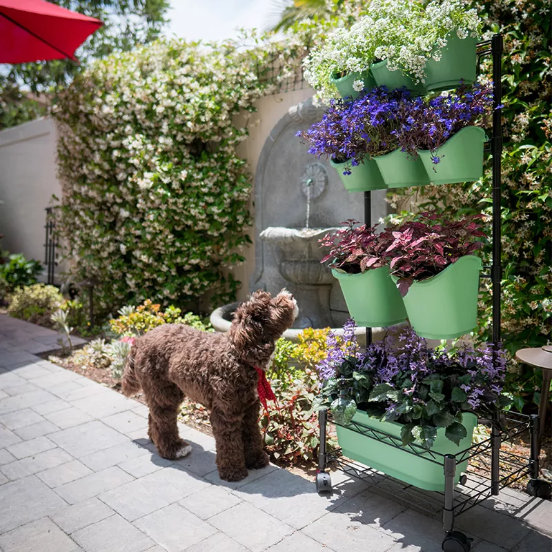 Marco doble de pared verde móvil de metal